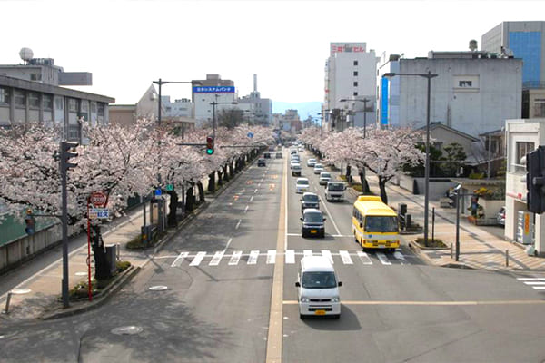 ふくい桜マラソンの魅力