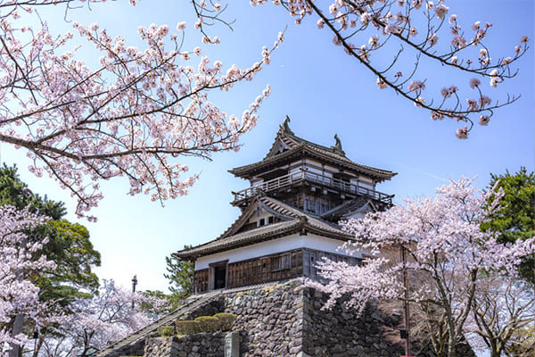 ふくい桜マラソンの魅力