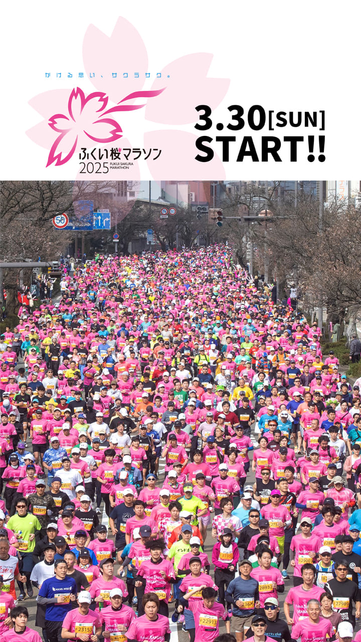 ふくい桜マラソン2025