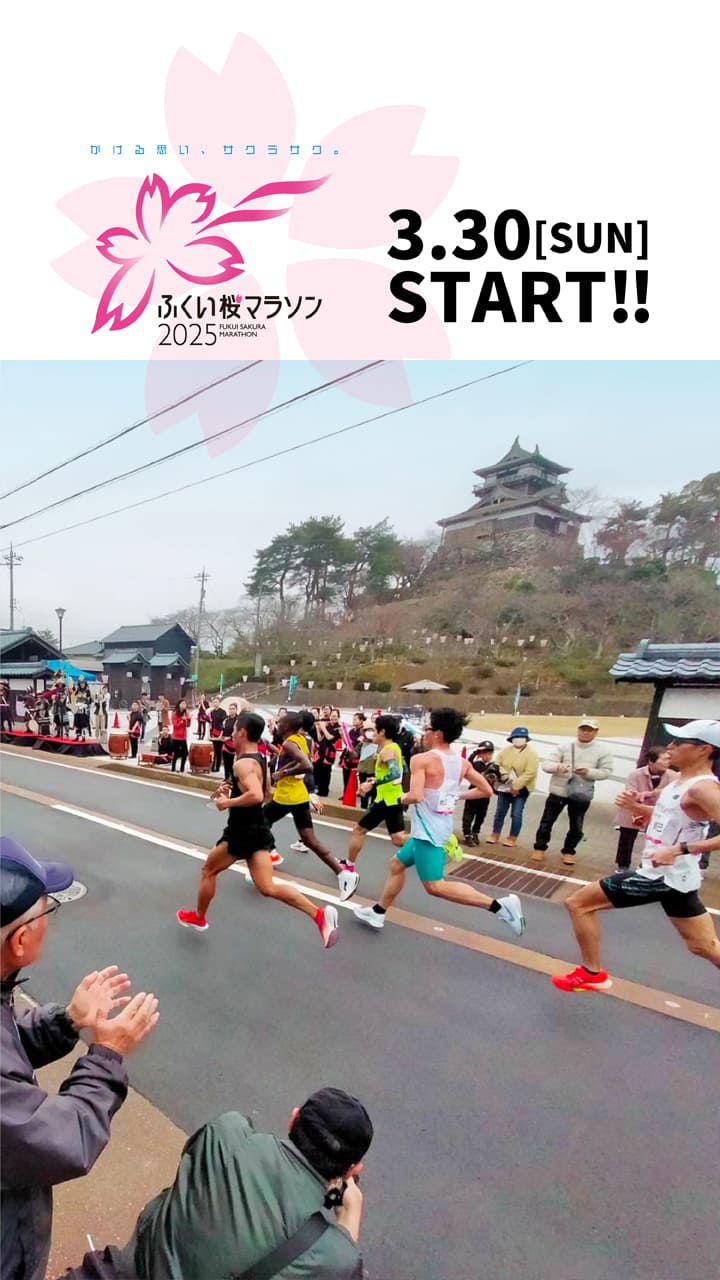 ふくい桜マラソン2025